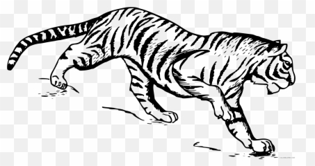 Black And White Tiger Coloring Pages - Running Drawing Emoji