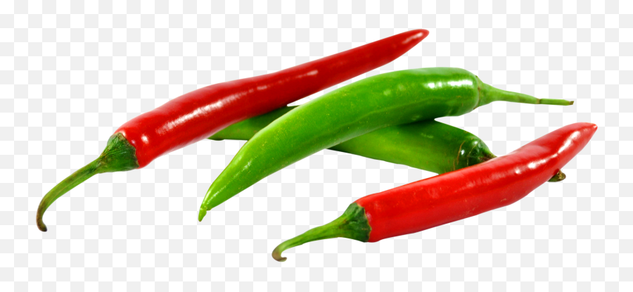 Trending Chili Stickers - Transparent Green Chilli Png Emoji,Hot Pepper Emoji