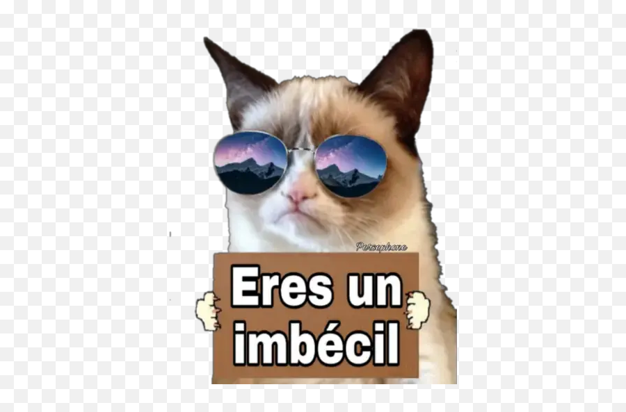 Grumpy Cat Cartel Vijiti Kwa Whatsapp - Grumpy Cat Transparent Png Emoji,Grumpy Cat Emoji