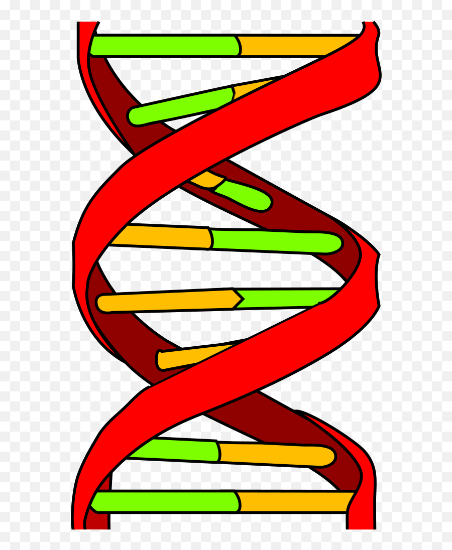 Dna Transparent Png Biological Dna Dna Genetic Clipart - Dna Icon Emoji,Dna Emoji