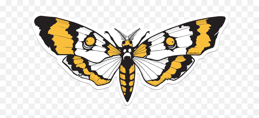 Goth Moth Sticker - American Painted Lady Emoji,Moth Emoji