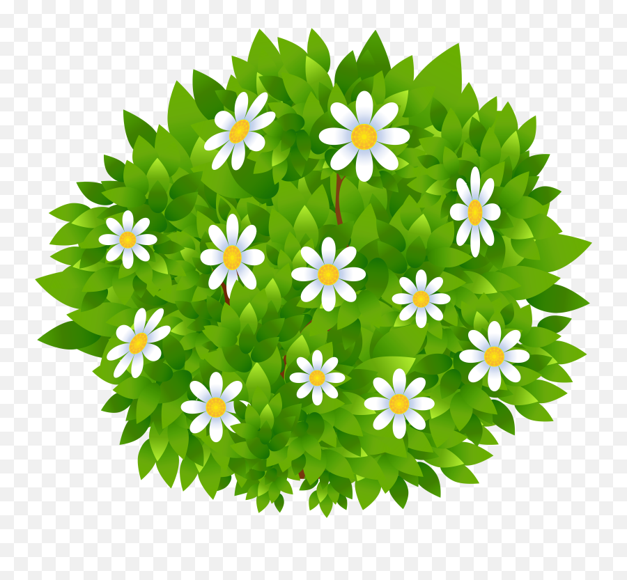 Transparent Flower Bush Clipart - Transparent Background Flower Bush Clipart Emoji,Shrub Emoji