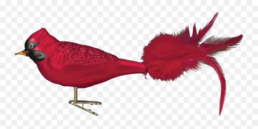 Old World Christmas Red Cardinal Glass Bird Ornament - Christmas Ornament Emoji,Cardinals Emoji