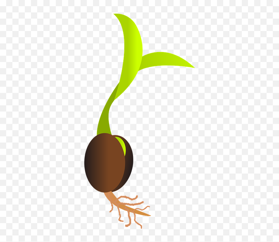Seedling Clipart Background Seedling - Seed Clipart Emoji,Bean Sprout Emoji