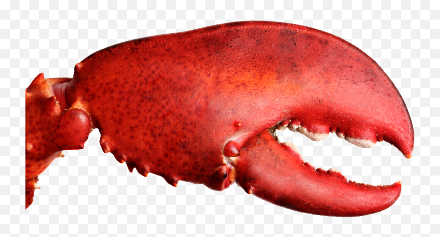 Crab Claws Png Picture - Lobster Claw Png Emoji,Lobster Emoji Iphone