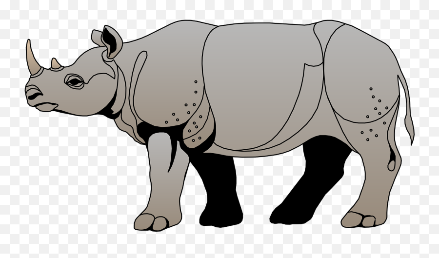 Rhinoceros Gray View - Rhinoceros Clipart Emoji,Rhino Emoji