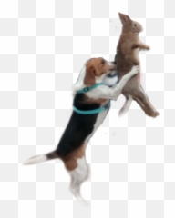 Dog Bunny Beagle - Dog Catches Something Emoji,Beagle Emoji