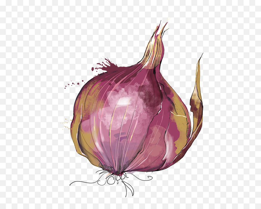 Onion Sticker - Wild Onion Emoji,Onion Emoji