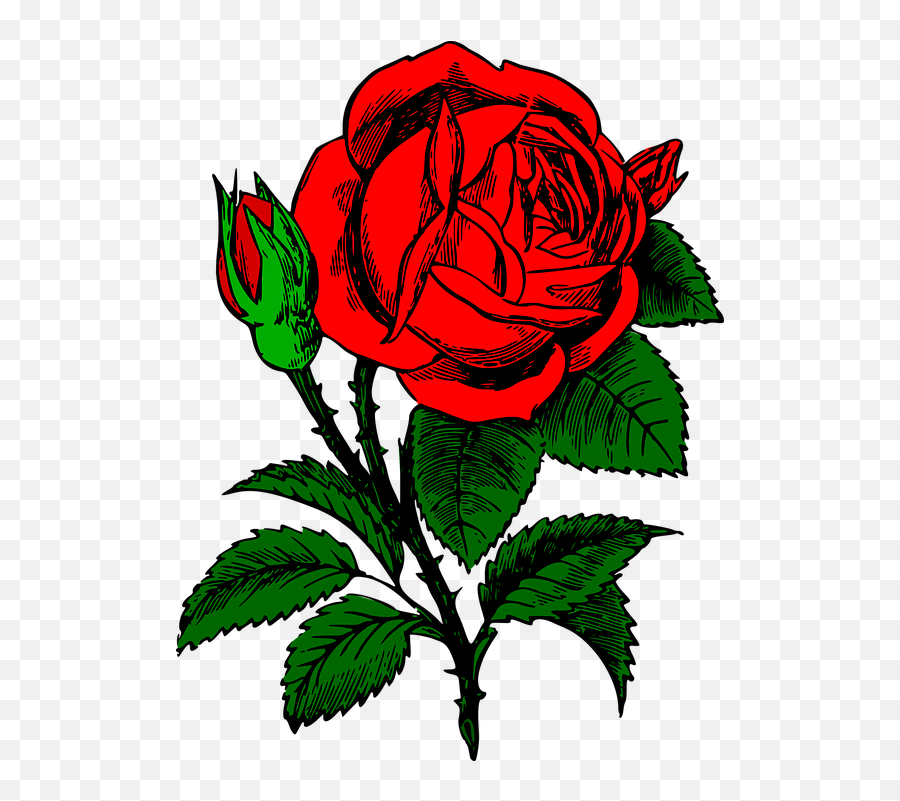 Rose Flower Red - Iphone 6 Cases Red Rose Emoji,Bouquet Of Flowers Emoji