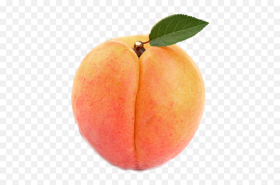 Fruits Peach Apricot - Nectarine Emoji,Apricot Emoji