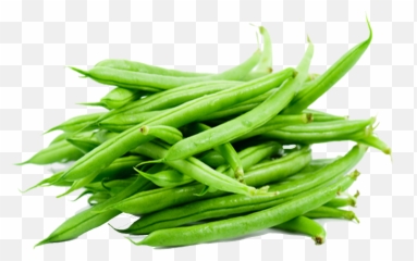 Plant Clipart String Bean - Green Beans Transparent Background Emoji