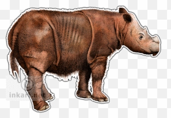 Rhinos Drawing Small Transparent Png - Sumatran Rhino Drawing Emoji,Rhino Emoji