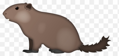 Emoji - Punxsutawney Phil,Groundhog Emoji