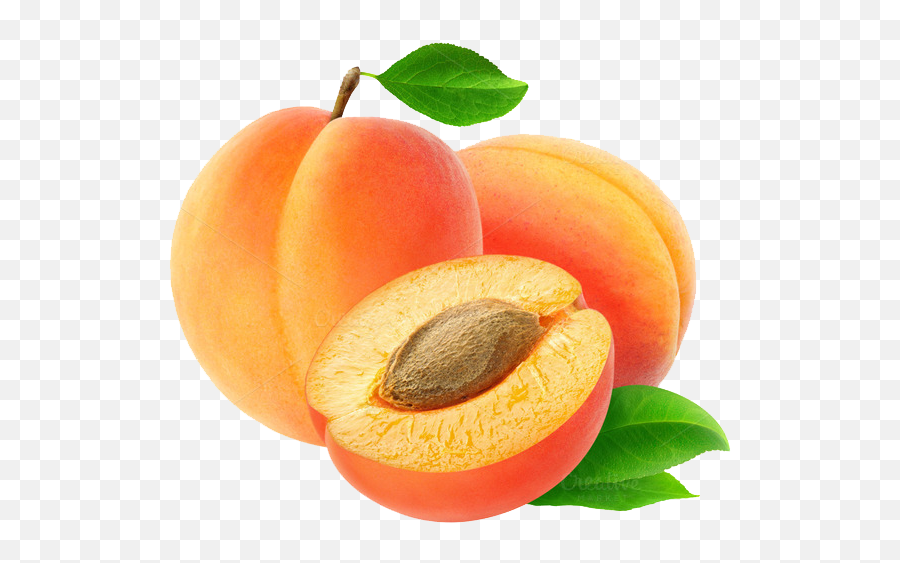 Apricot Png Transparent Image - Transparent Apricot Png Emoji,Apricot Emoji