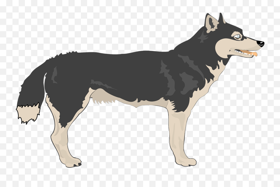 Wolf View Wild - Wolf Animal Clipart Emoji,French Bulldog Emoji