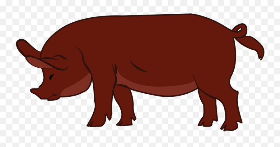 Free Pork Pig Vectors - Duroc Pig Clipart Emoji,Pig Emoji