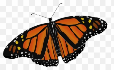 Beautiful Butterfly Sticker Pack - Monarch Butterfly Png Emoji,Butterfly Emoji Apple