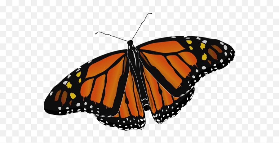 Beautiful Butterfly Sticker Pack - Monarch Butterfly Png Emoji,Butterfly Emoji Apple