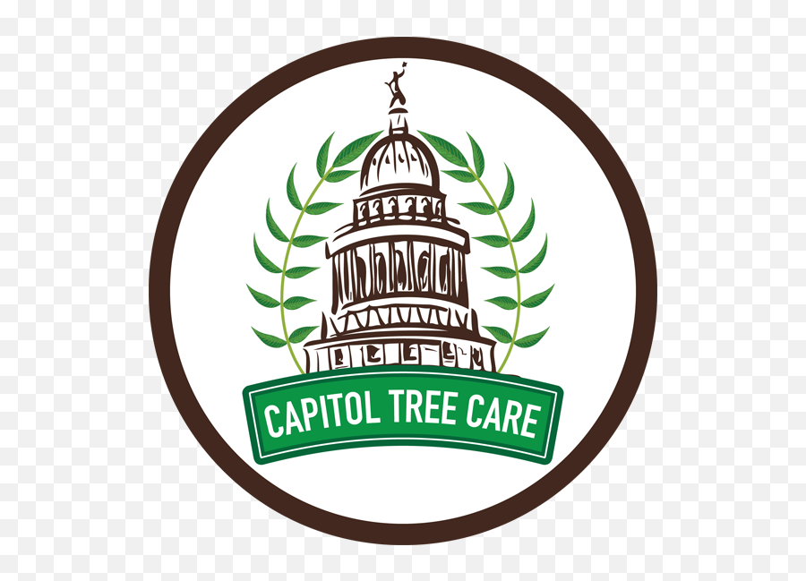 Georgetown Tree Services - Texas State Capitol Emoji,Mistletoe Emoji