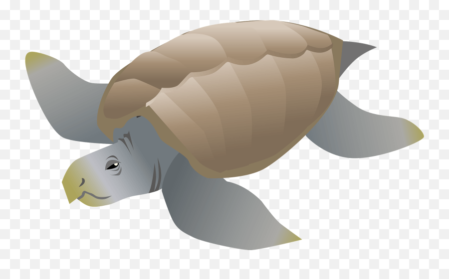 Archelon Dinosaur Clipart Free Download Transparent Png - Tortoise Emoji,Dino Emoji