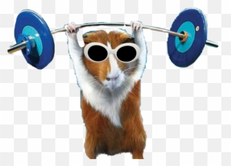 Bosspet Weights - Bible Quotes Images Animals Emoji,Weightlifting Emoji