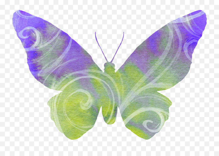 Butterfly Purple Green Clipart Cute - Green And Purple Butterfly Clipart Emoji,Emoji Arts And Crafts