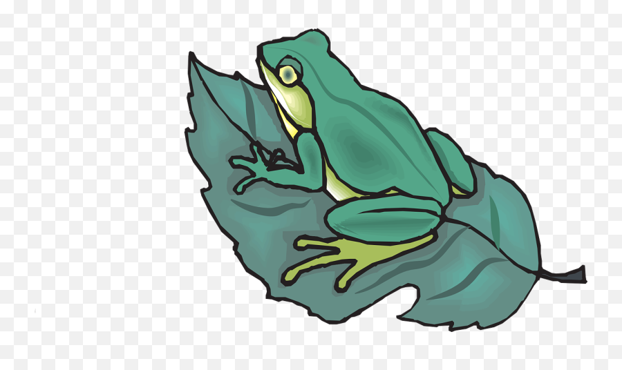 Download Free Photo Of Frog Amphibian - Frog On A Leaf Emoji,Costa Rica Emoji