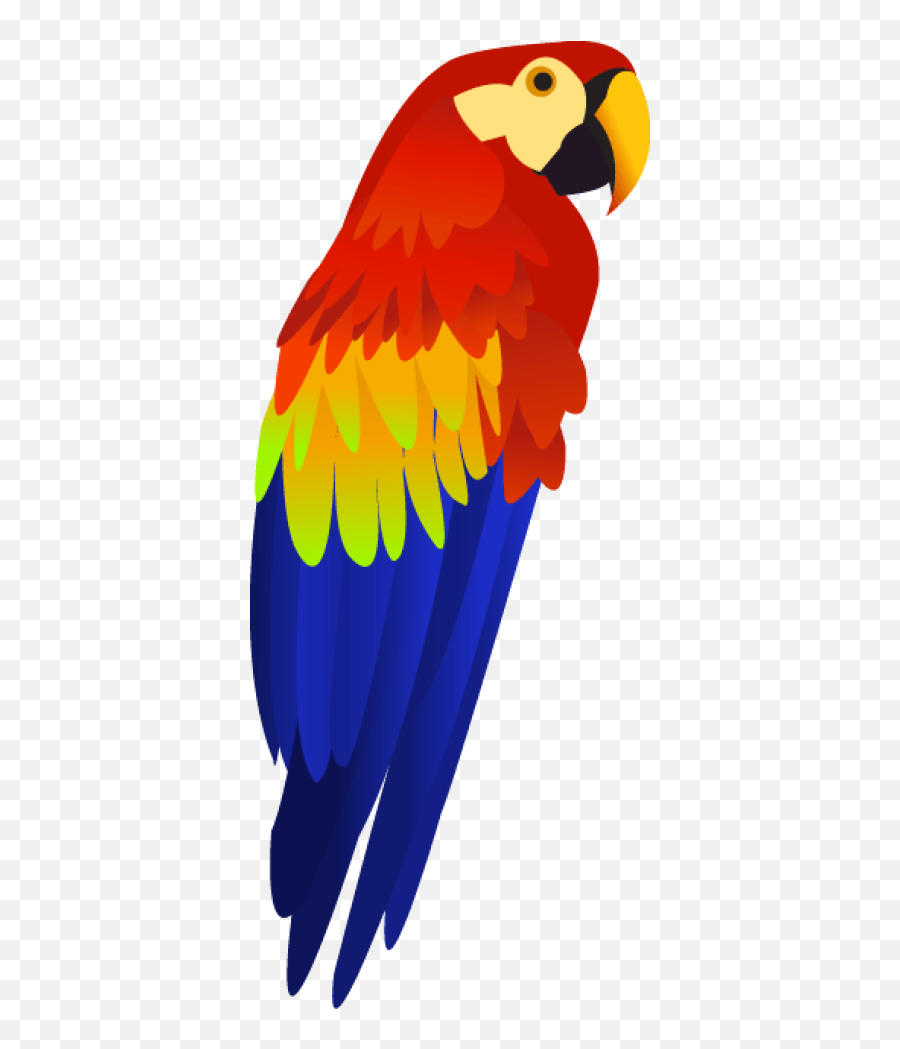 Colorful Png And Vectors For Free - Transparent Background Parrot Clipart Emoji,Parrot Emoji Iphone