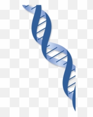 Dna Transparent Png Biological Dna Dna Genetic Clipart - Blue Dna Strand Transparent Background Emoji,Dna Emoji