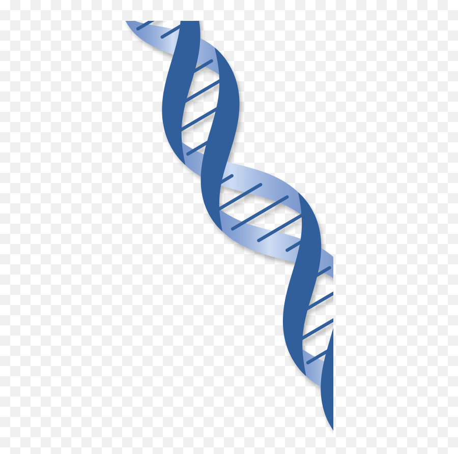 Dna Transparent Png Biological Dna Dna Genetic Clipart - Blue Dna Strand Transparent Background Emoji,Dna Emoji