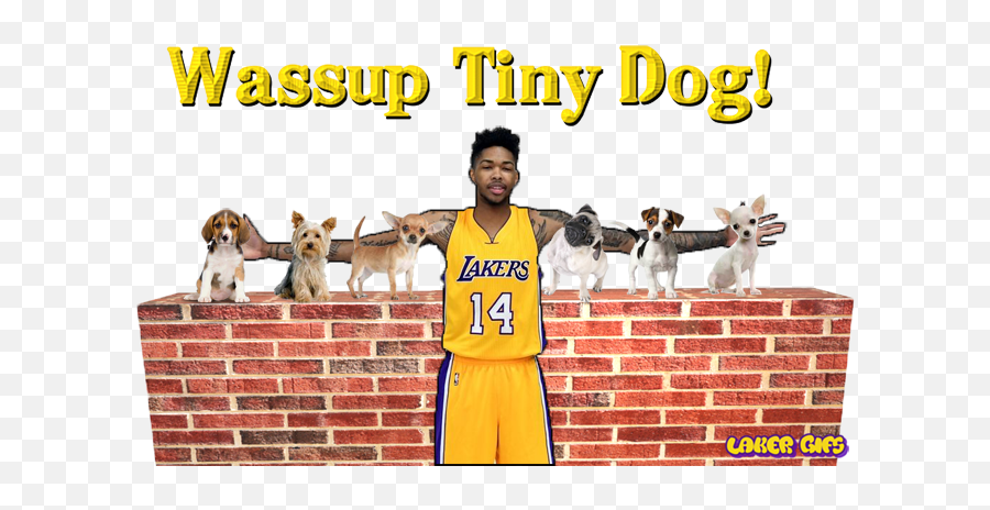 Introducing Tiny Dog Brandon Ingram Lakersgifs Animated - Brandon Ingram Tiny Dog Emoji,Dog Emoticons