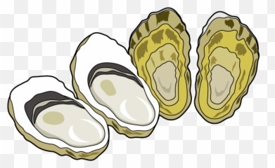 Oyster Clipart Oyster Transparent Free For Download - Oysters Clipart Emoji,Oyster Emoji
