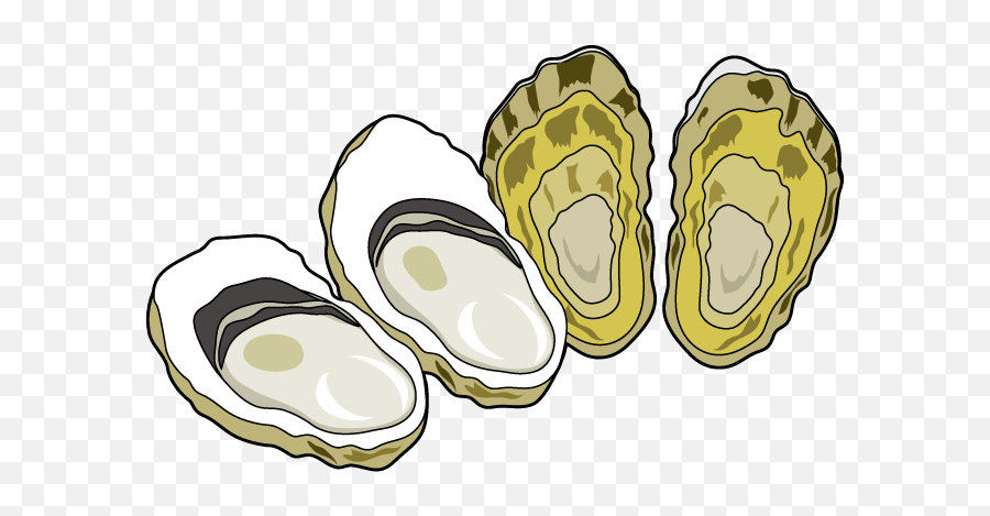 Oyster Clipart Oyster Transparent Free For Download - Oysters Clipart Emoji,Oyster Emoji