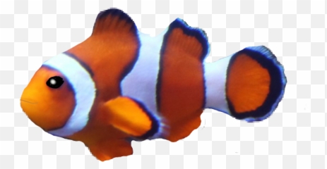 Fish Clownfish Notnemo - Coral Reef Fish Emoji,Clown Fish Emoji