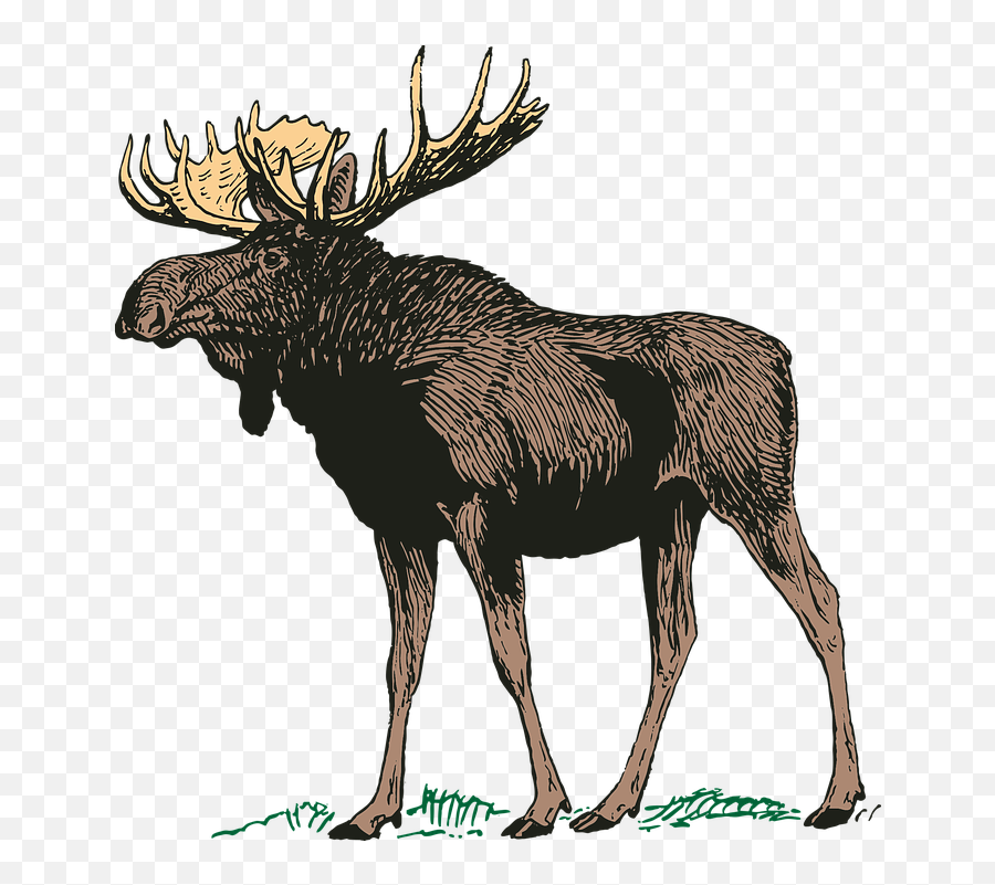 Free Canada Flag Vectors - Moose Clipart Emoji,Plane Emoji