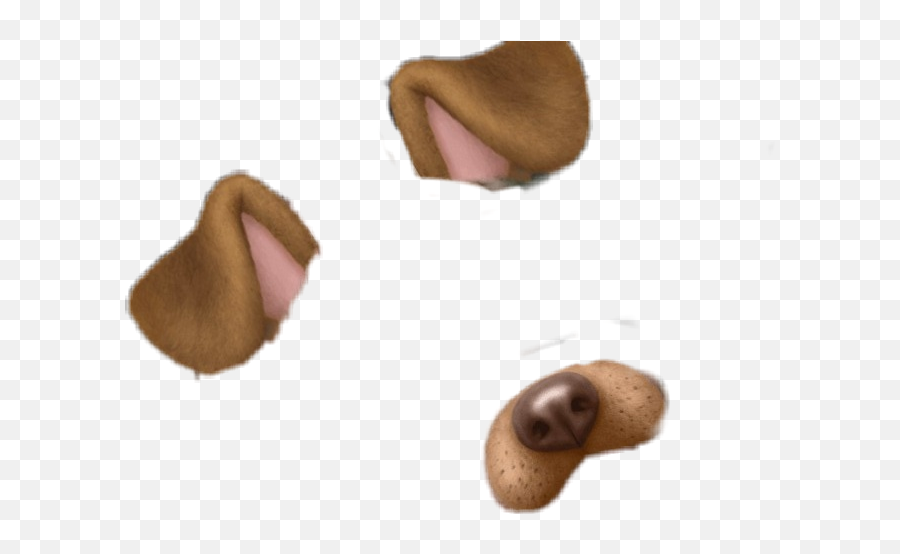 Dog Snap Snapchat Filter Face Snaps - Snapchat Dog Filter Png Emoji,69 Emoji Snapchat
