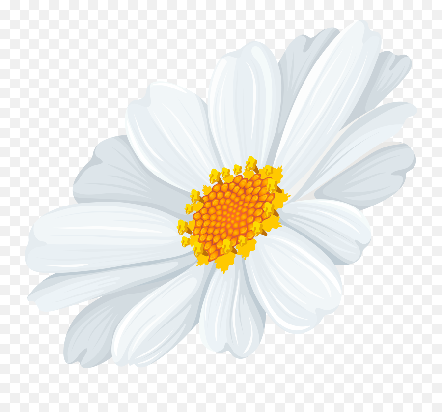 White Daisy Png Clipart Emoji,Find The Emoji Margarita
