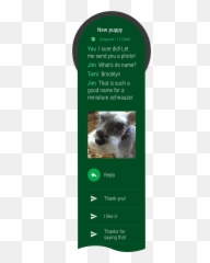 Create notification Wear OS Android Developers - Miniature Schnauzer Emoji