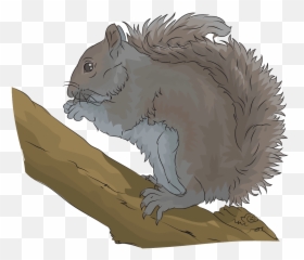Eastern Gray Squirrel Clipart - Fox Emoji