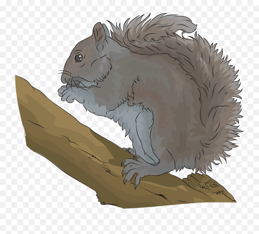 Eastern Gray Squirrel Clipart - Fox Squirrel Emoji,Squirrel Emoji Android