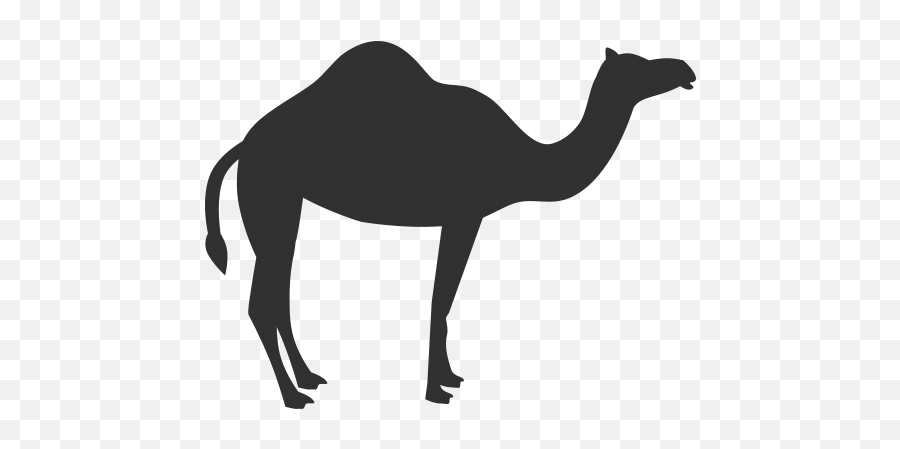 Download Camel Icon - Camel Icon Emoji,Camel Emoticons