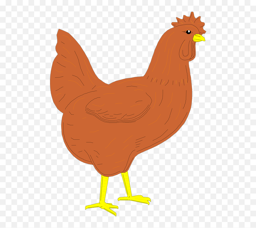 Free Chicken Leg Chicken Images - Brown Hen Clip Art Emoji,Chicken Bone Emoji