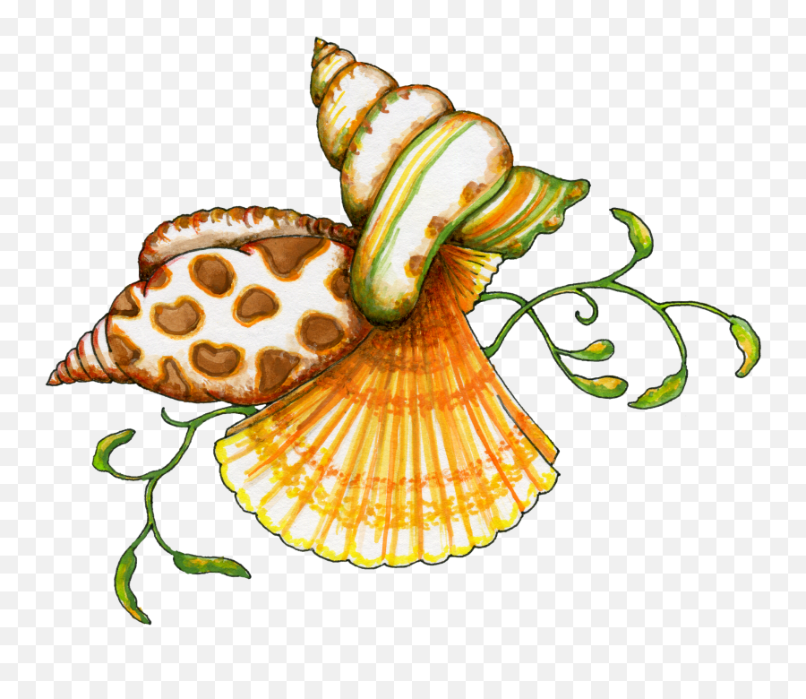 Seashell Clip Art Borders Free Free - Free Clip Art Seashells Emoji,Seashell Emoji