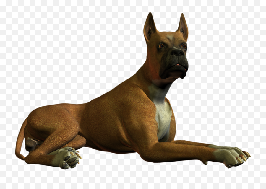 Dog Clipart Boxer Dog Boxer - High Resolution Dog Png Emoji,Boxer Dog Emoji