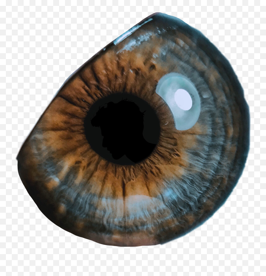 Eye Pupil Eyeball Eyes Sticker - Green Eye Emoji,Eyeball Emoji