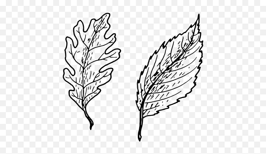 Simple Leaves Vector Clip Art - Clipart Mango Leaf Drawing Emoji,Pot Leaf Emoji