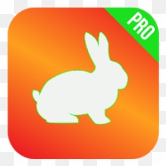 Hyper Vpn - Free Vpn Proxy Fast U0026 Unlimited Vpn Apk App Domestic Rabbit Emoji,Hyper Emoji