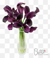 Purple mini calla lilies have exceptionally pretty trumpet - Wedding Emoji