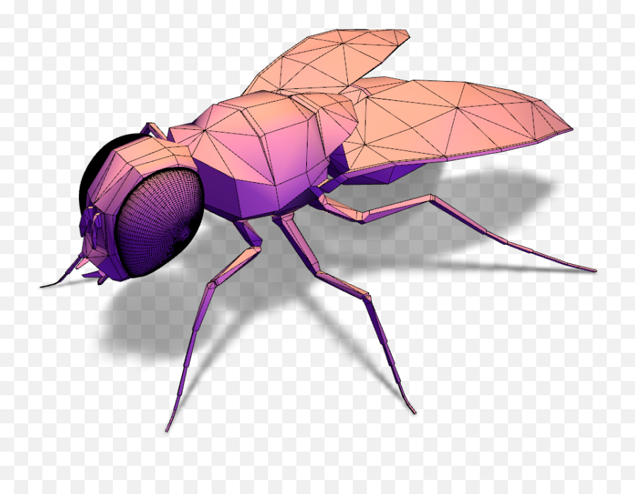 Fly - February 1 Clipart Full Size Clipart 2183424 Mosquito Emoji,Venus Fly Trap Emoji