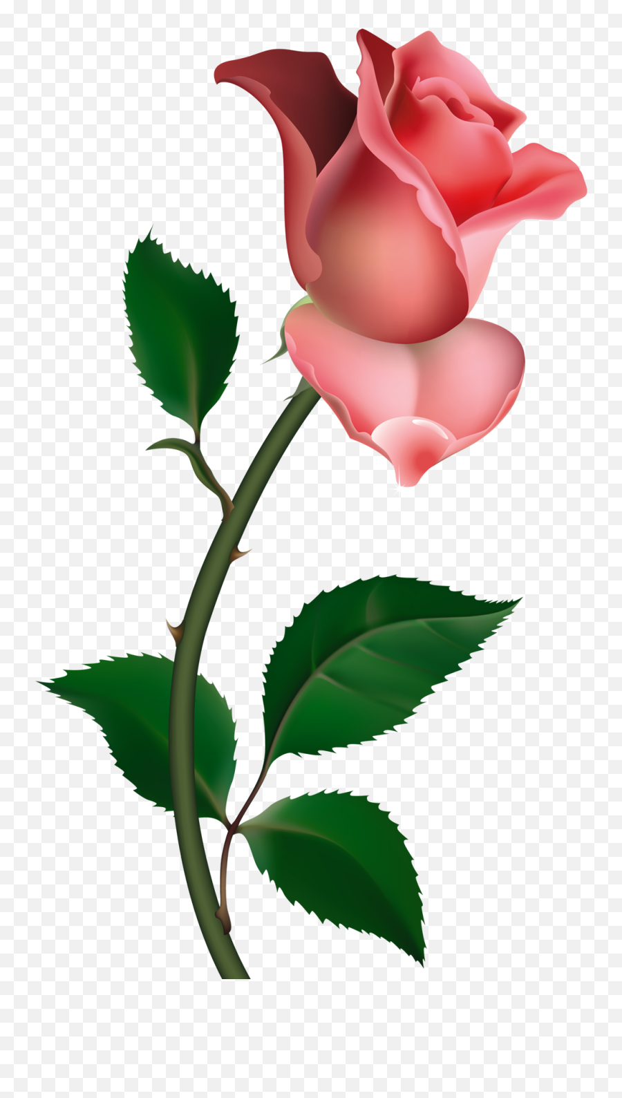 Roses Free Rose Clipart Public Domain - Clipart Rose Emoji,Rose Emoji Transparent